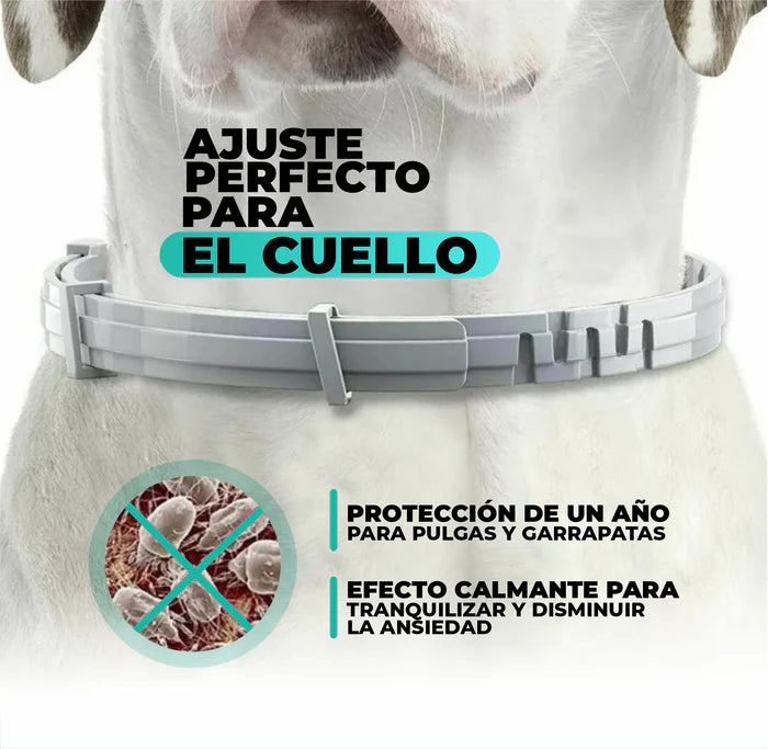 Collar Para Mascotas AntiParasitario (Duración un año)