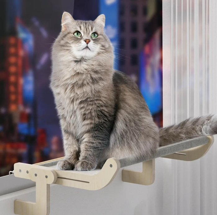 Cama colgante gato pared hamaca